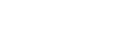 Stone Bird Technologies